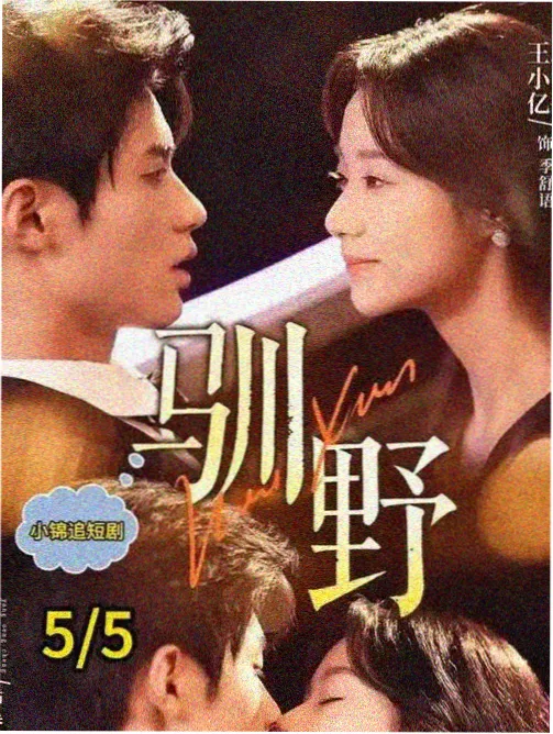 规格图鉴栏目配图